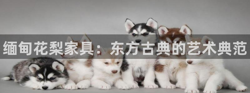 球盟会在线登录官网