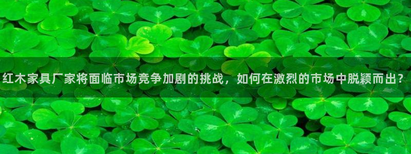 球盟会网页登录入口