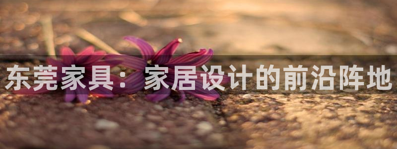 球盟会登录入口