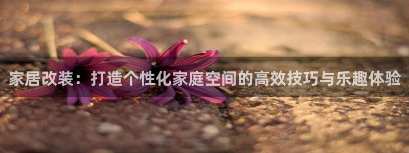 千亿球盟会乐玩