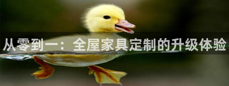 球盟会app网址多少号