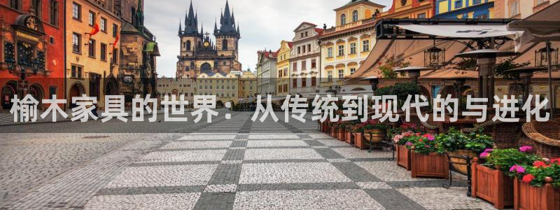 球盟会和中欧会的区别