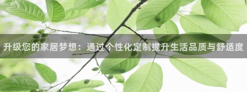 球盟会在线登录官网