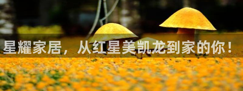 球盟会官方入口