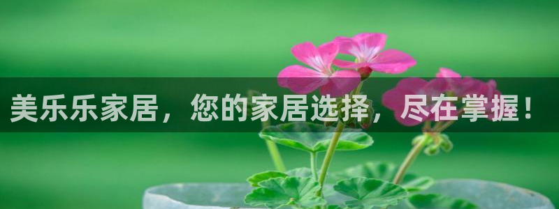 球盟会体育app官方网站