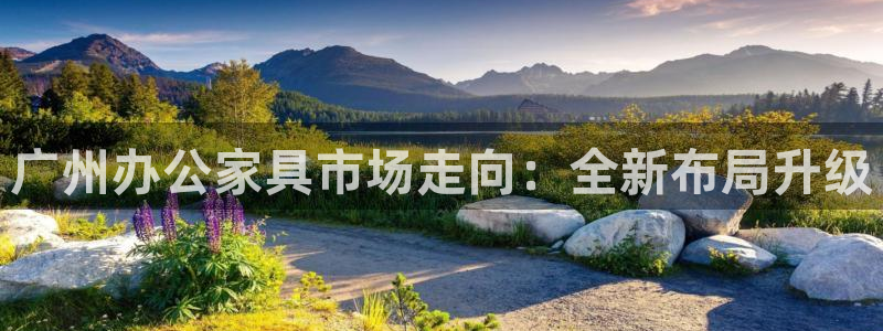 球盟会网址qm9 - 球盟会qmh网页版登录