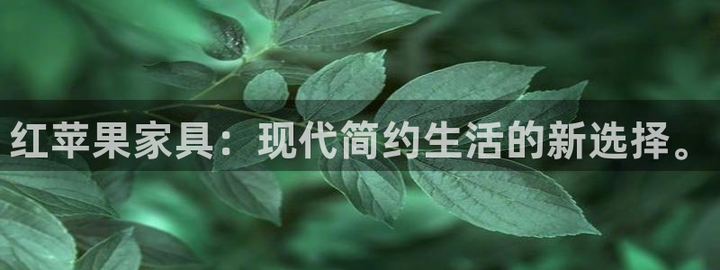 球盟会app网址多少号