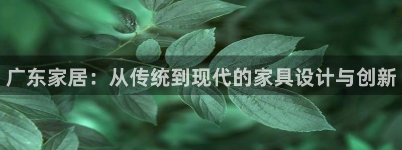球盟会中国网页登录