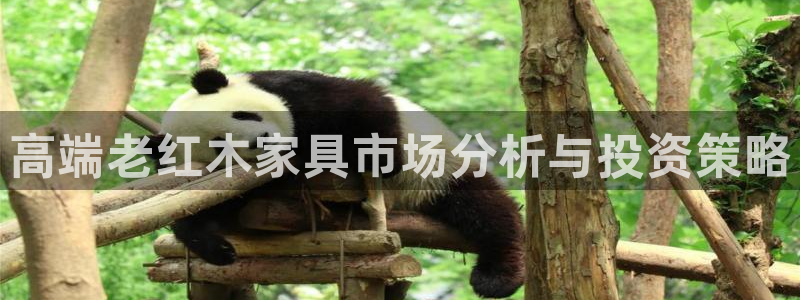 球盟会官网入口：高端老红木家具市场分析与投资策略