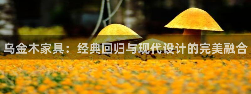 球盟会网址多少：乌金木家具：经典回归与现代设计的完美融合
