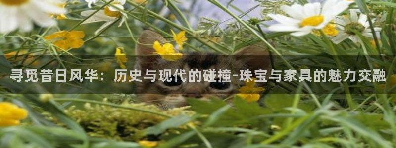 球盟会进不去吗