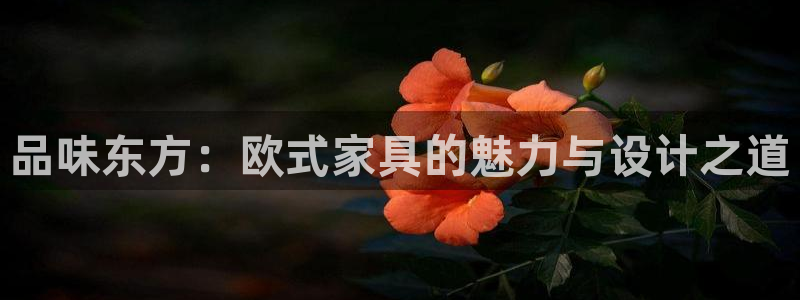 球盟会进不去吗