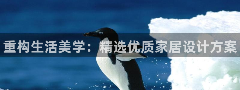 球盟会在线登录