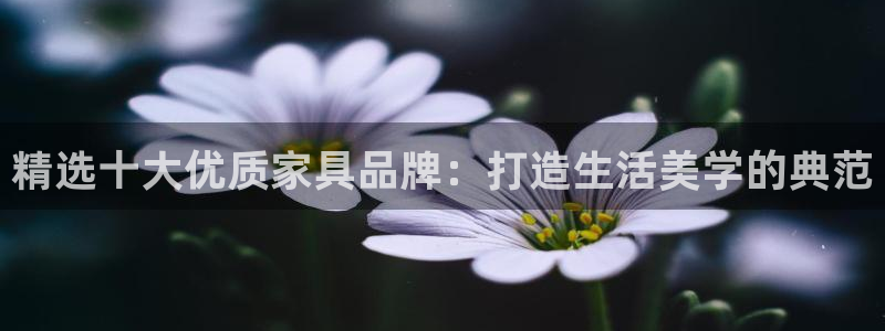 球盟会优惠领取网站
