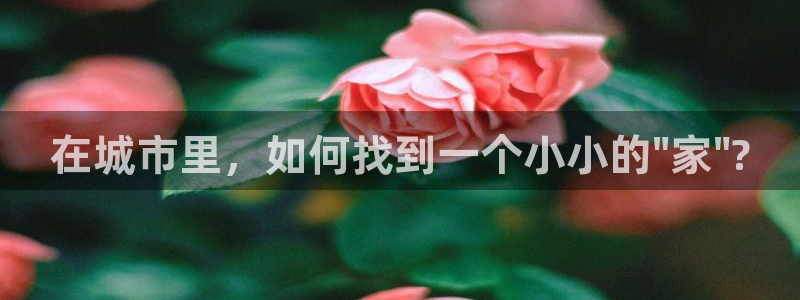 球盟会有没有黑单的活动
