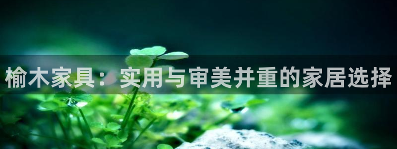 球盟会平台会黑单吗