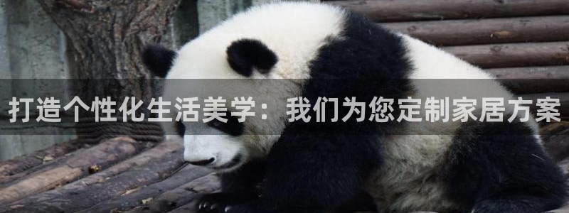 球盟会游戏