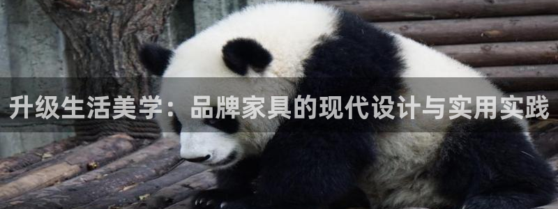 球盟会体验金球奖吗