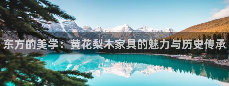球盟会能提现吗是真的吗