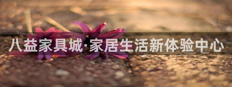 球盟会用的客服聊天是哪个软件