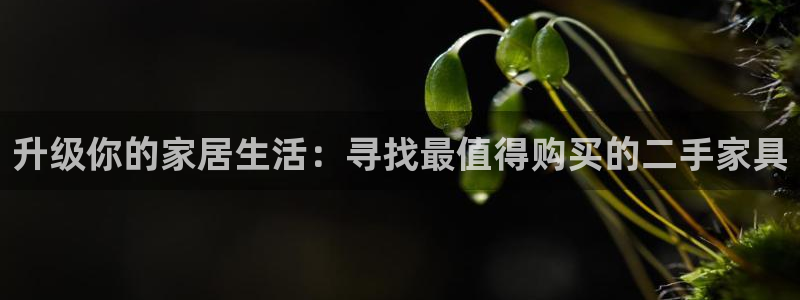 球盟会app手机登录