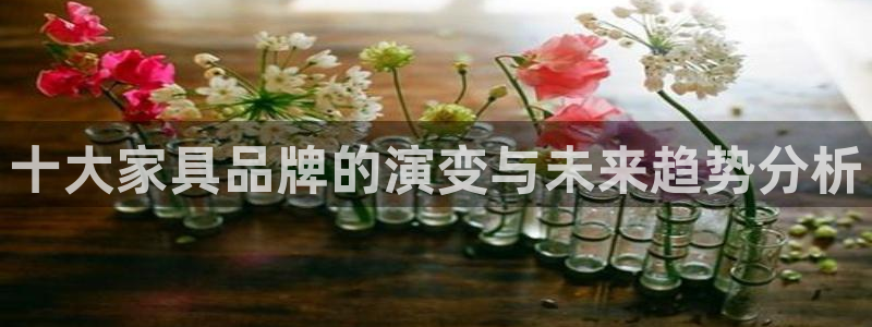球盟会最新活动