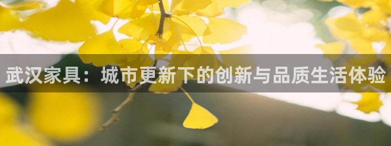 球盟会能提现吗安全吗