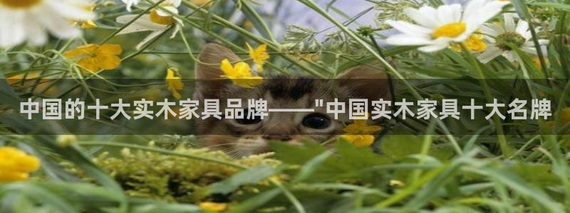 球盟会福利码2023最简单三个步骤