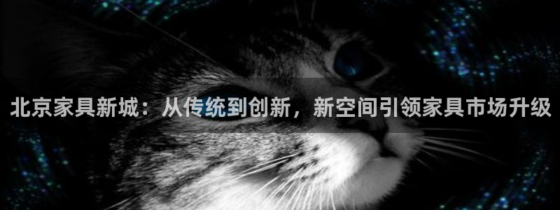 球盟会官方网站入口：北京家具新城：从传统到创新，新空间引领家